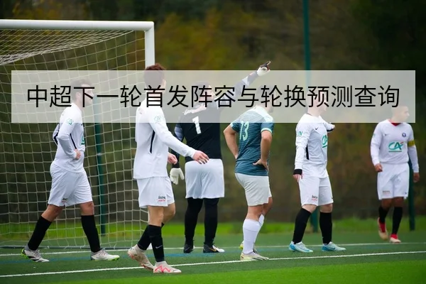 中超下一轮首发阵容与轮换预测查询